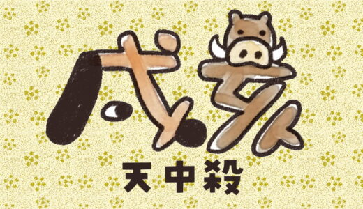 戌亥天中殺の運勢とバイオリズムをやさしく解説